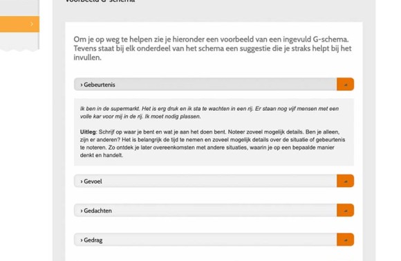 Screenshot van de tool G-schema van NewHealth. Het is een ingevuld voorbeeld van het schema.