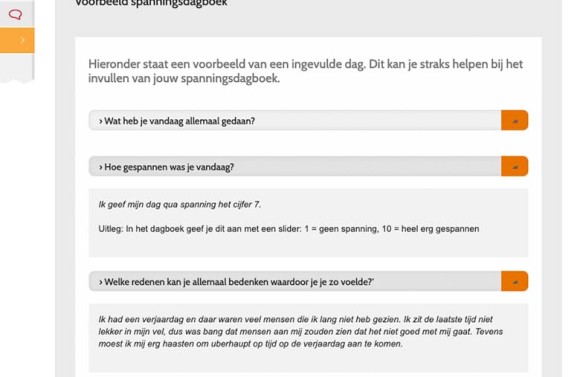 Screenshot van het Spanningsdagboek van NewHealth. Het is een ingevuld voorbeeld van het dagboek.